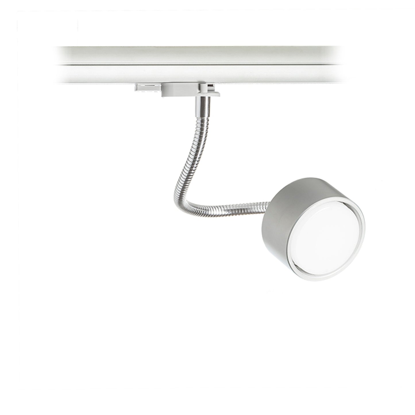 RENDL 3-circuit track system PIXIE on goose neck for 3-circuit tracks silver grey chrome 230V LED GX53 7W R10641 2