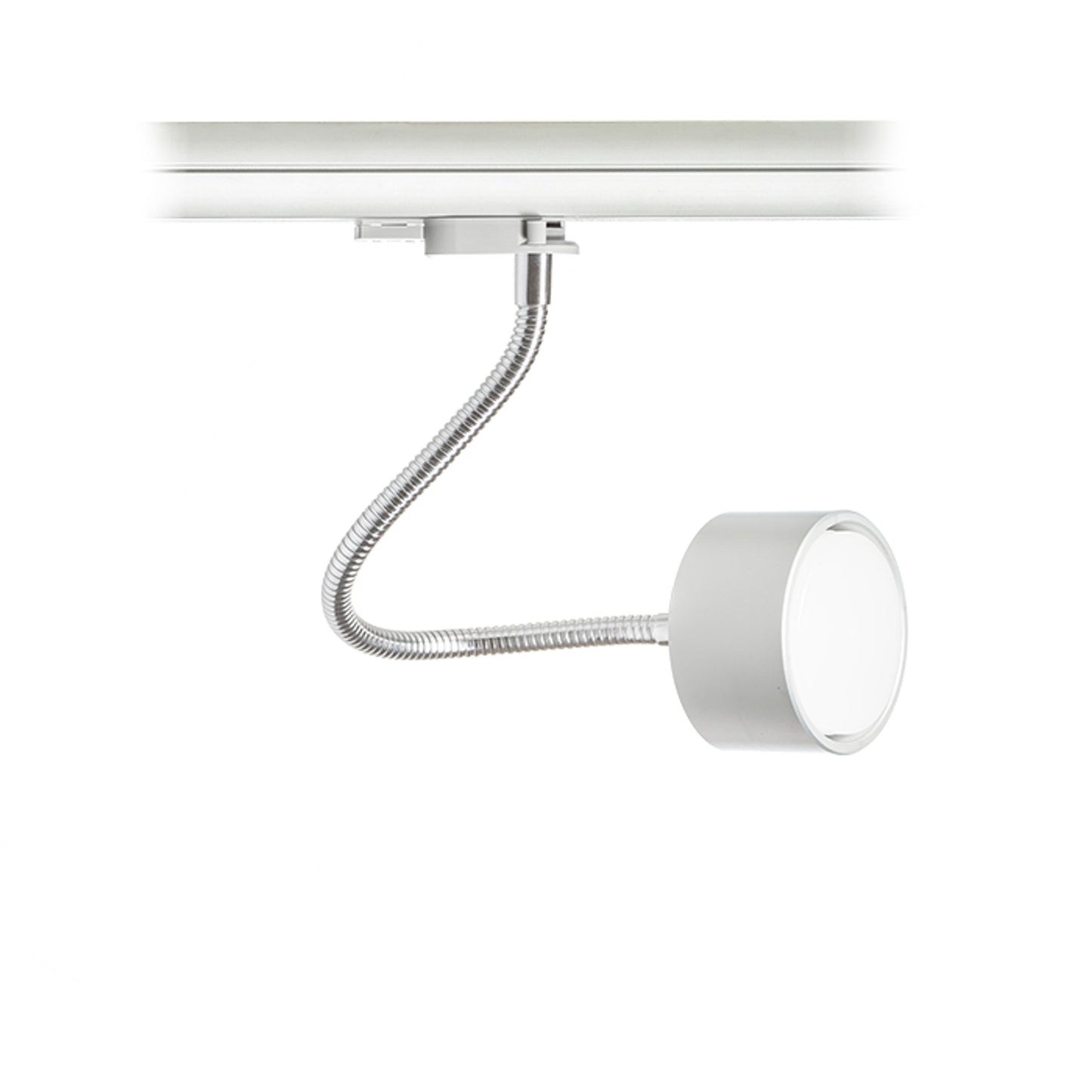 RENDL 3-circuit track system PIXIE on goose neck for 3-circuit tracks silver grey chrome 230V LED GX53 7W R10641 3