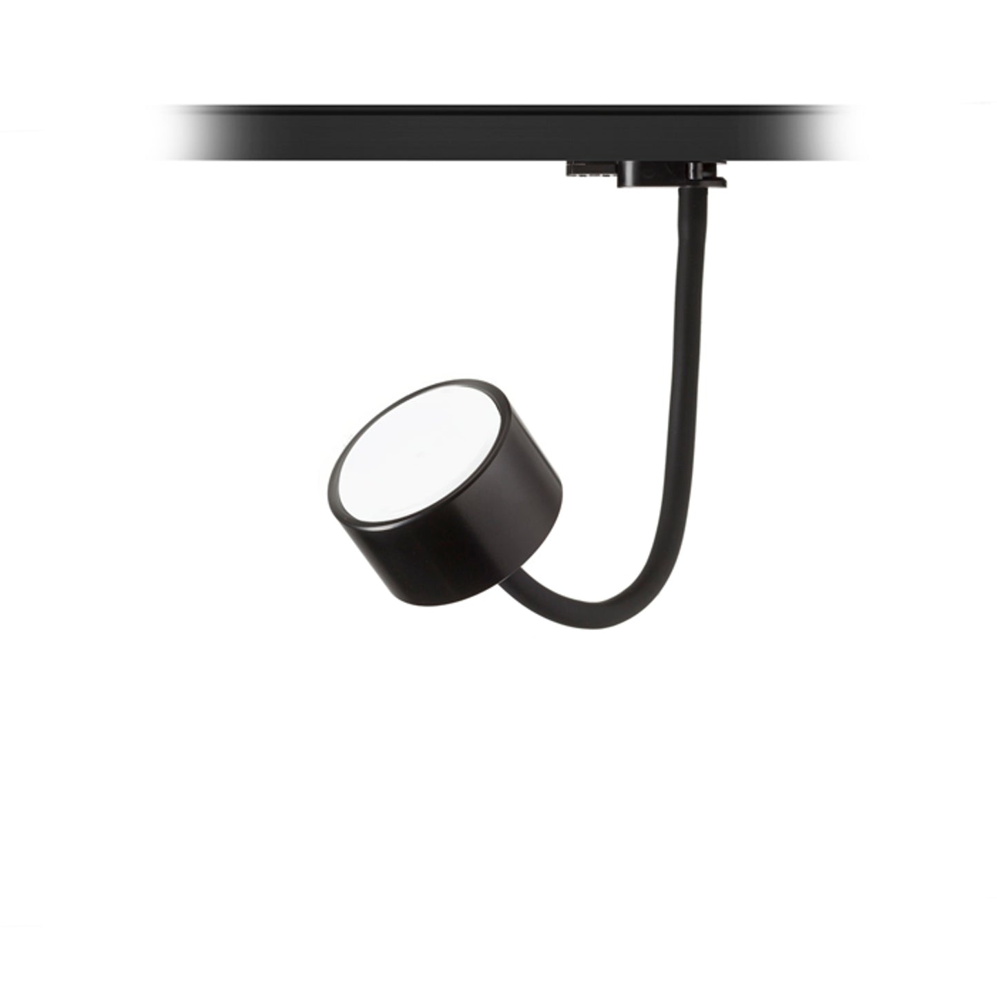 RENDL 3-circuit track system PIXIE on goose neck for 3-circuit tracks black 230V LED GX53 7W R11769 1