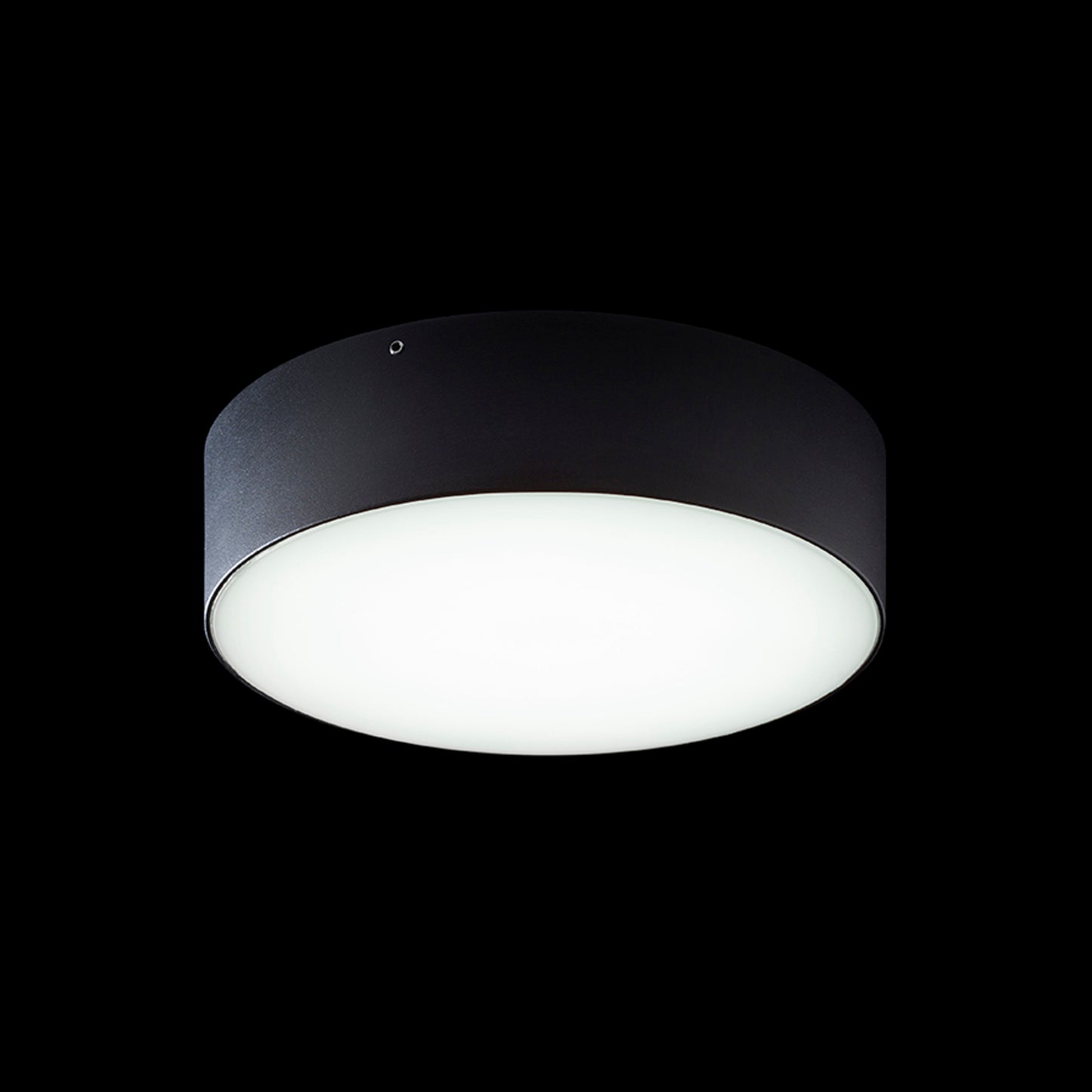 RENDL outdoor lamp LARISA OUT 22 surface mounted black 230V LED 20W IP65 3000K 4000K 5700K R14126 4
