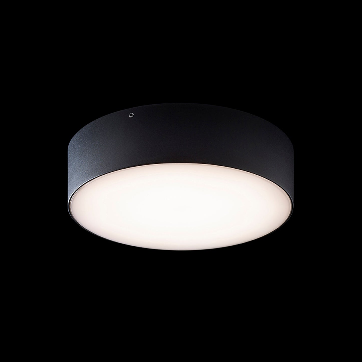 RENDL outdoor lamp LARISA OUT 22 surface mounted black 230V LED 20W IP65 3000K 4000K 5700K R14126 5