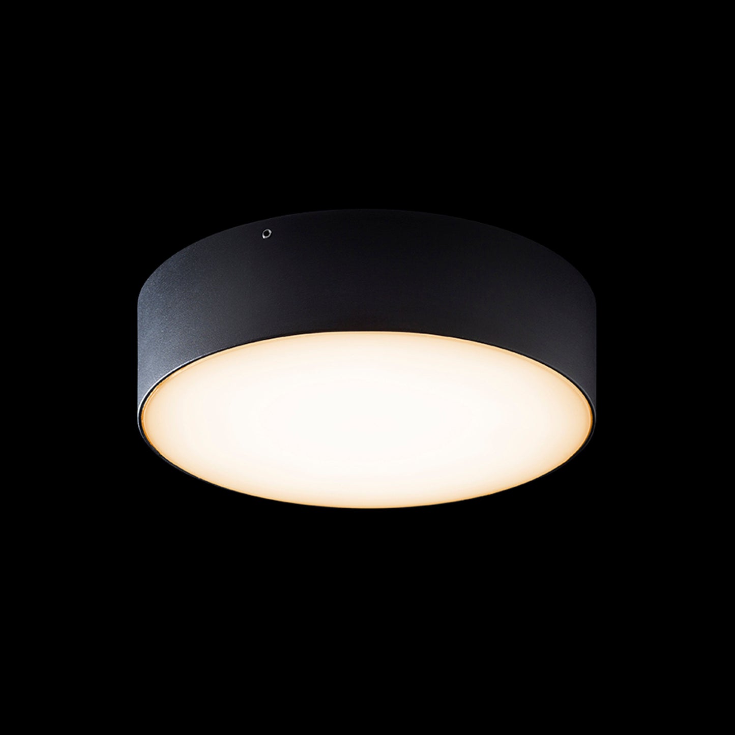 RENDL outdoor lamp LARISA OUT 22 surface mounted black 230V LED 20W IP65 3000K 4000K 5700K R14126 6