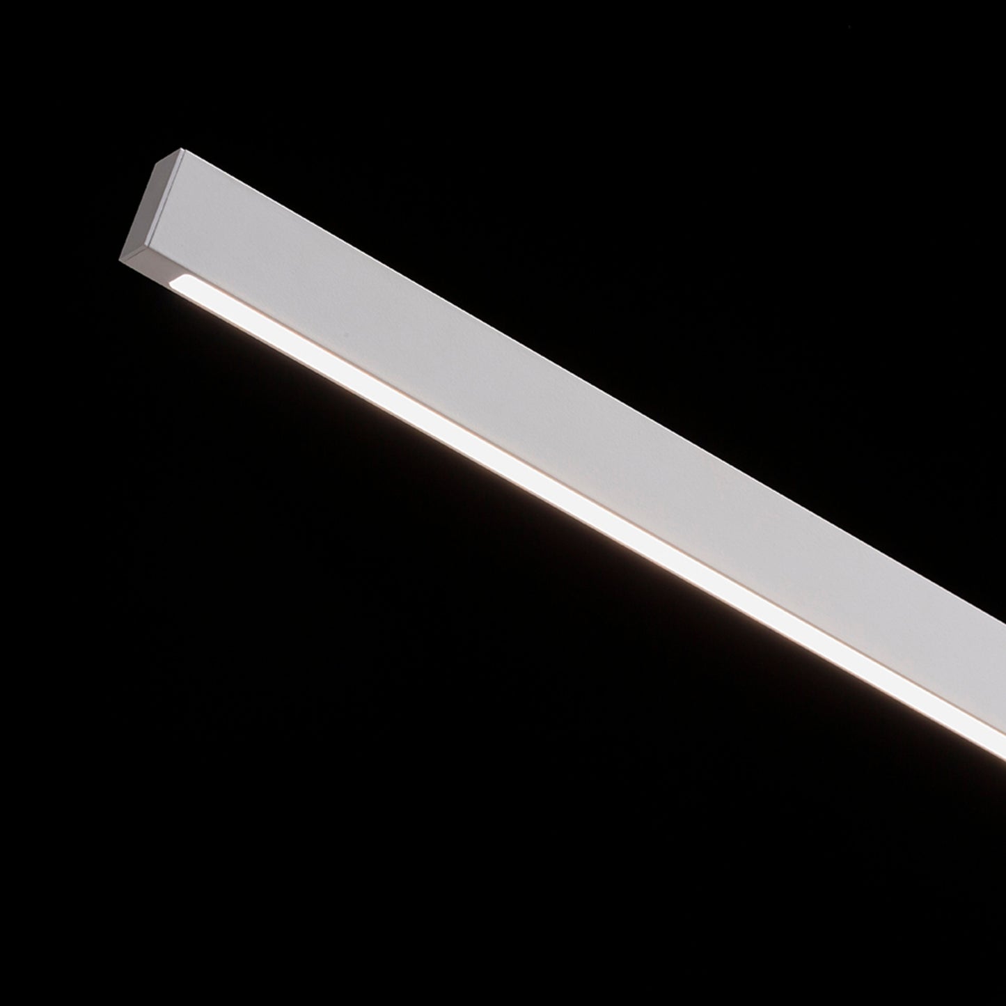 RENDL table lamp ROD DIMM table white 230V LED 5.5W 3000K 4000K 6500K R14294 4
