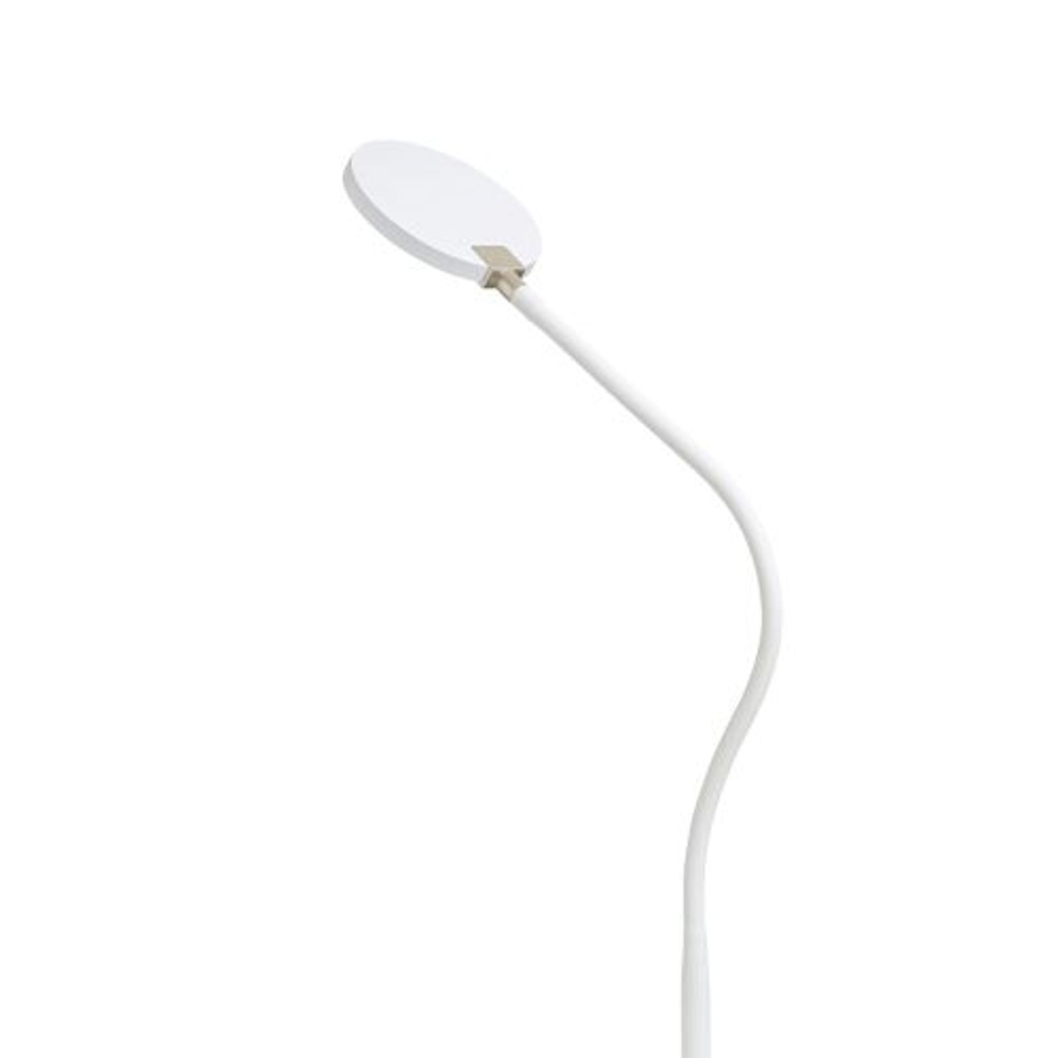LED golvlampa dimbar