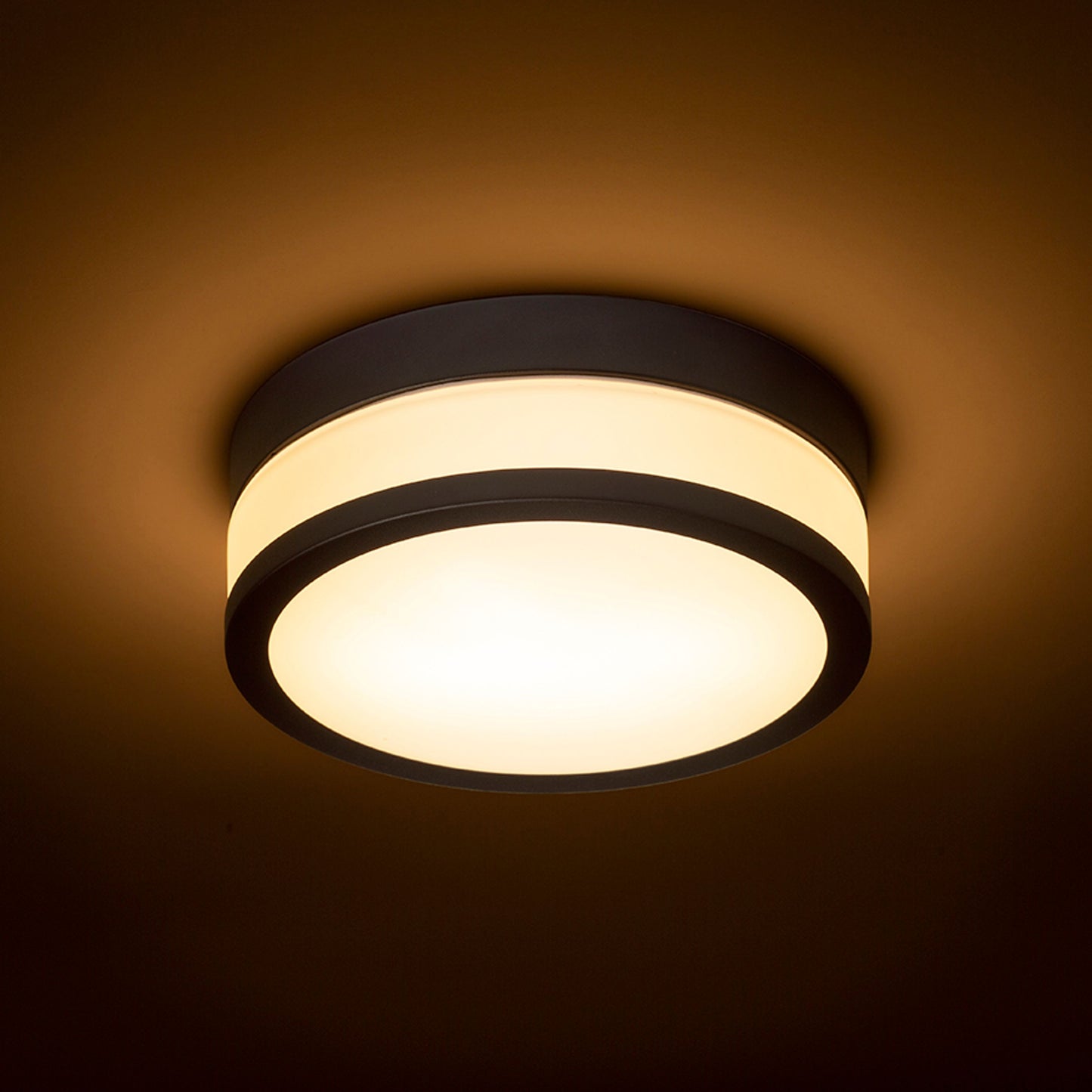 RENDL surface mounted lamp CIRA LED 23 ceiling  opal-colored glass/black 230V LED 12W IP44  3000K R13680 3