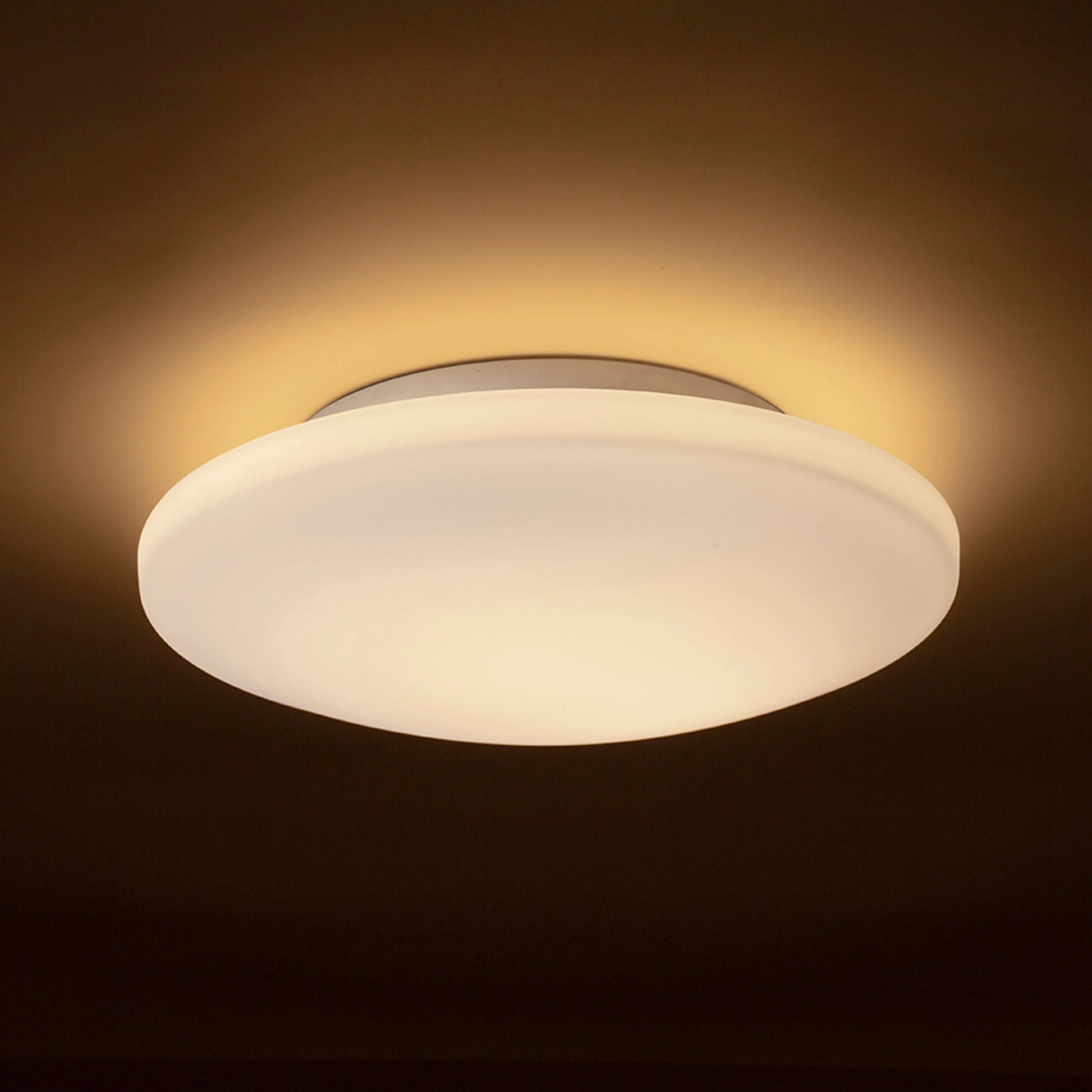 RENDL surface mounted lamp SARA LED 36 ceiling  opal-colored glass/chrome 230V LED 24W IP44  3000K R13688 2