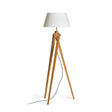 AMBITUS GOLV